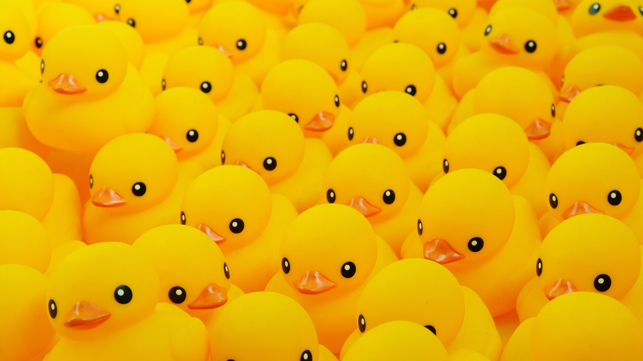 22 DuckDuckGo Statistics: Google’s Avian Adversary in Numbers