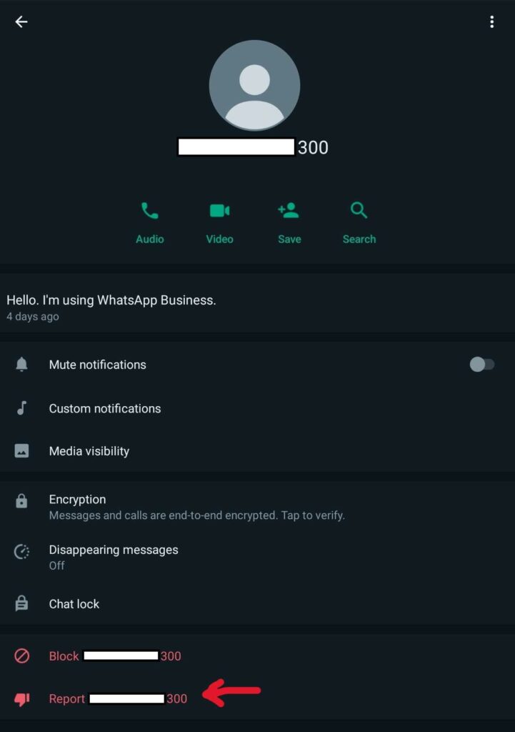 Whatsapp Report Scammer
