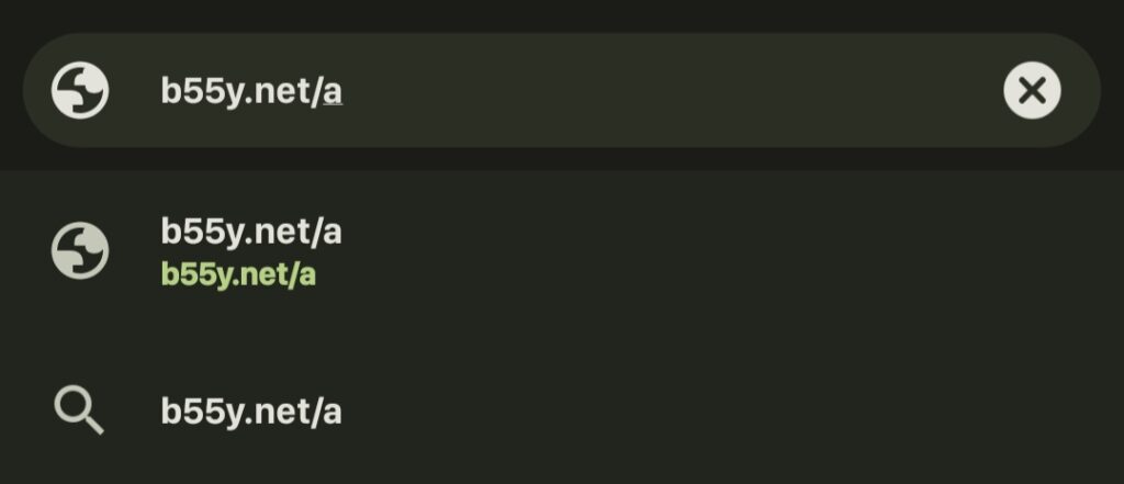 input b55y.net/a
